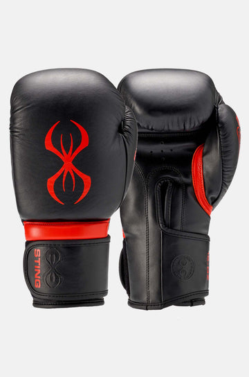Gants de boxe Armapro
